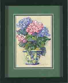 Colorful Hydrangea