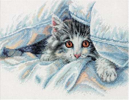 Cat Comfort - Click Image to Close