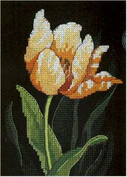Tulip Drama - Click Image to Close