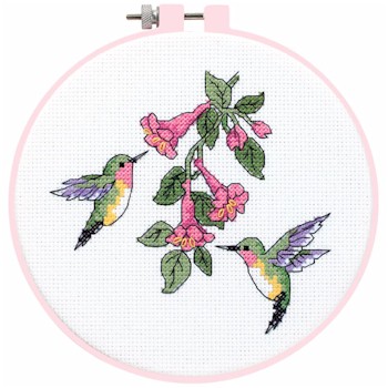 Hummingbird Duo Learn a Craft