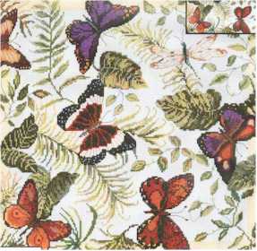 Candamar Butterflies Galore