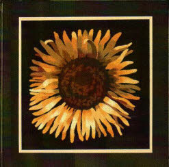 Sunflower - Click Image to Close