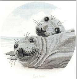 Seal Pups - Click Image to Close