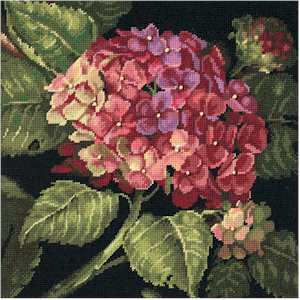 Hydrangea in Bloom - Click Image to Close