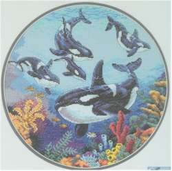 Circle Of Whales