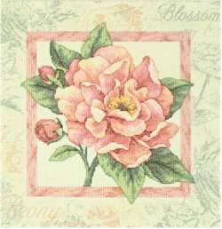 Peony Blossom - Click Image to Close