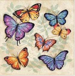 Butterfly Profusions
