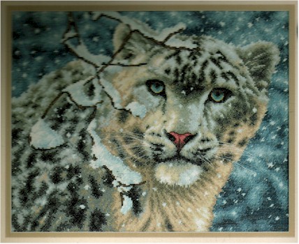 Snow Leopard - Click Image to Close