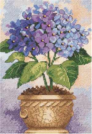 Hydrangea in Bloom - Click Image to Close