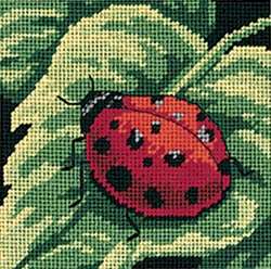 Ladybug, Ladybug... - Click Image to Close
