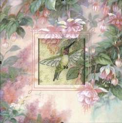 Hummingbird Grace - Click Image to Close
