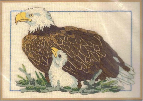 Bald Eagle & Baby - Click Image to Close