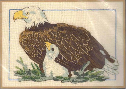 Bald Eagle & Baby