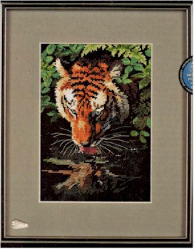 Tiger Reflection - Click Image to Close