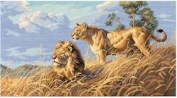 African Lions - Click Image to Close
