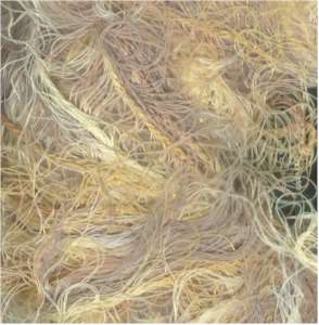 NY Yarns Feather #1 Neutral Print - Click Image to Close