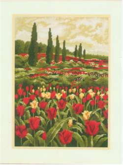 Tulip Field - Click Image to Close
