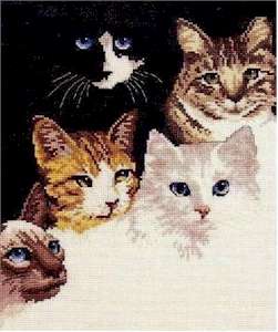 Cats' Eyes - Click Image to Close
