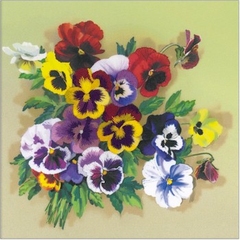 Pansies