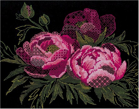 Lace Peonies - Click Image to Close