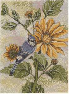 Sunflower Blue Jay - Click Image to Close