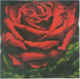 Single Red Rose - Click Image to Close