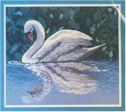 Swan's Reflection - Click Image to Close