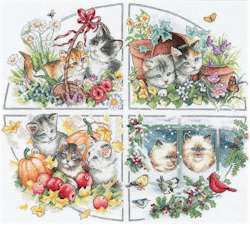 Four Seasons Kittens