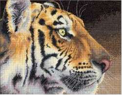 Regal Tiger