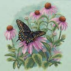 Butterfly & Daisies - Click Image to Close