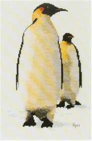 King Penguin - Click Image to Close