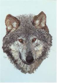 Wolf - Click Image to Close